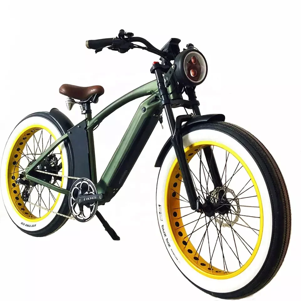 Ebike dual motor NA fashion electric bike 1000w  fat tire ebike OEM services 20ah lithium battery belt drive ebike