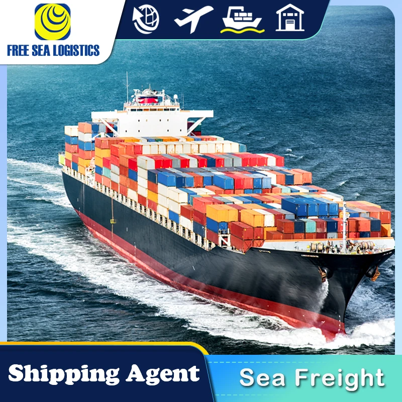 Cheap Fast DDP DDU FCL LCL sea Shipping freight forwarder from China to UAE Oman Saudi Arabia by sea shipping