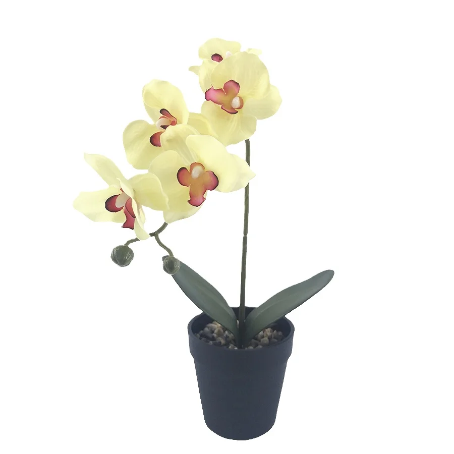 New design decorative simulation real touch  colorful artificial plastic pot flower  phalaenopsis orchid greenery