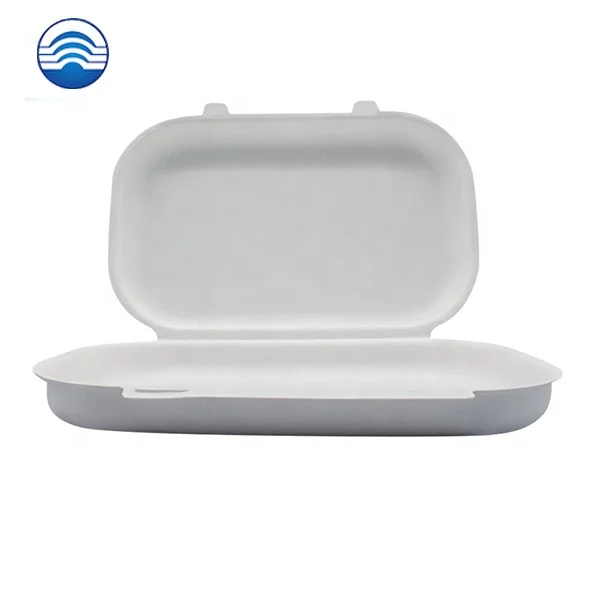 Small order 16 years factory custom white packing  model paper pulp box tray lid