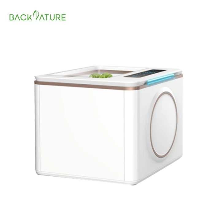 Household Fruit And Vegetable Detoxification Disinfection De Frutas Machine Multi-functional Vegetable Cleaning Machine