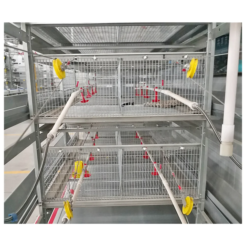 high quality Fattening chicks cage for Fully automated chicken farm
