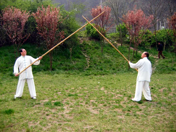 Wing Chun Long Poles Luk Dim Boon Kwan Wushu Dragon Poles-Waxwood