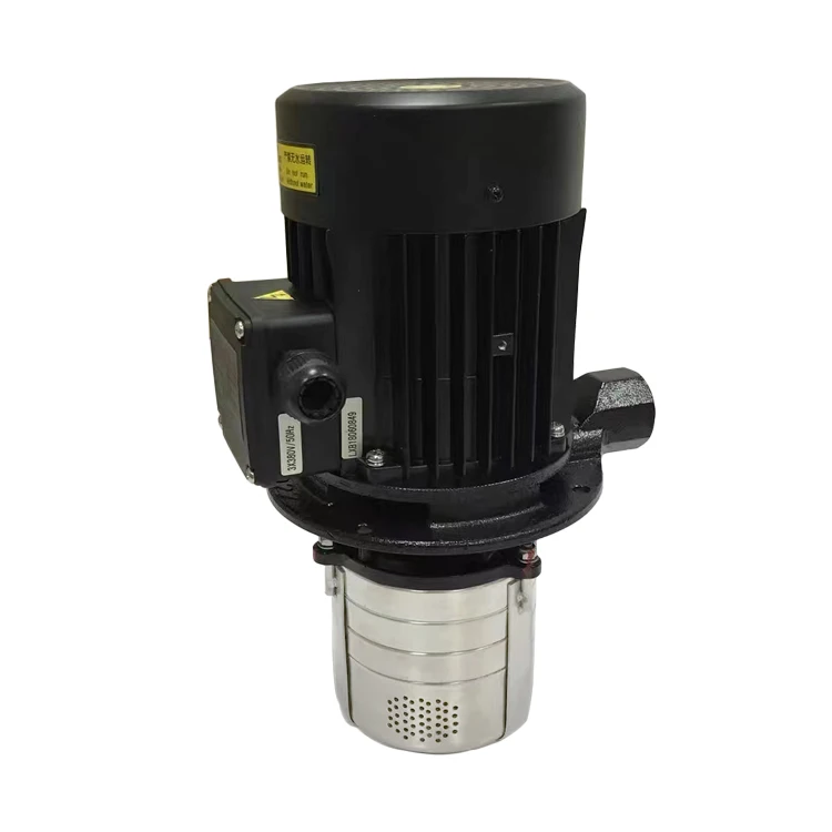Electric Cooling Machine Oil Pump High Pressure Stainless Steel Multistage Gear Pump Centrifugal Theory Motor Power Supply OEM