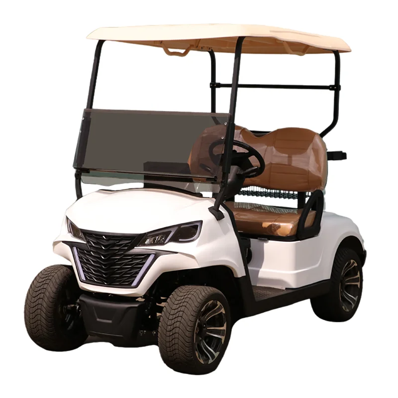 EG luxury golf cart club 2 seater car import golf carts from china