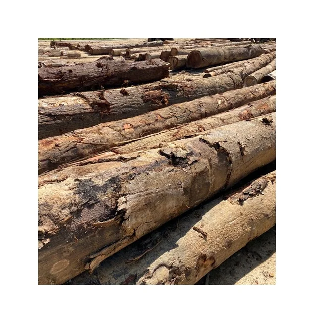 Cheapest Price Veneer Log Wood Type Round Shape Chengal Log Suitable for Building/Construction/Furniture