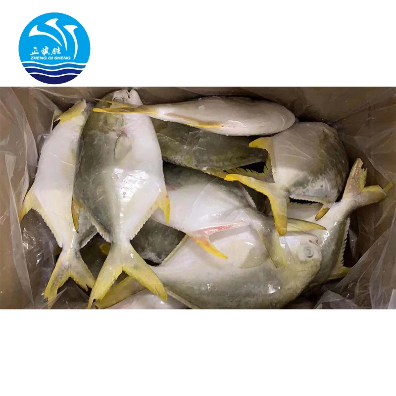 Frozen Golden Pomfret and Salmon Fish