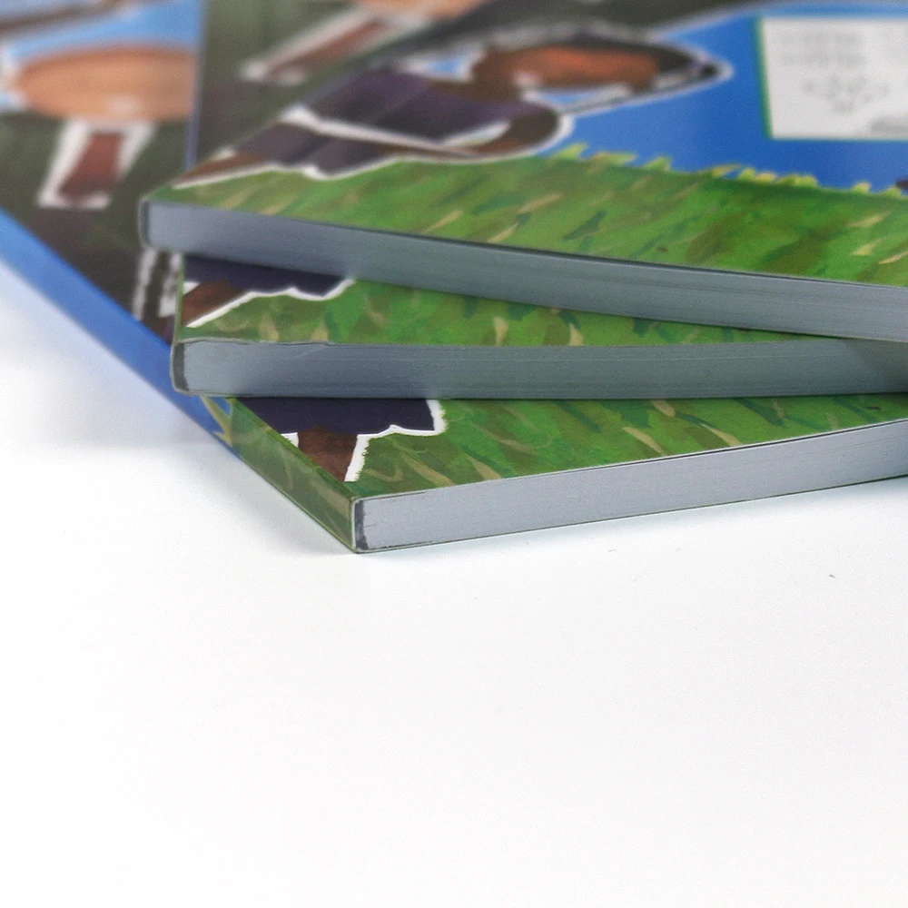 Custom Colorful children education english grammar book printing