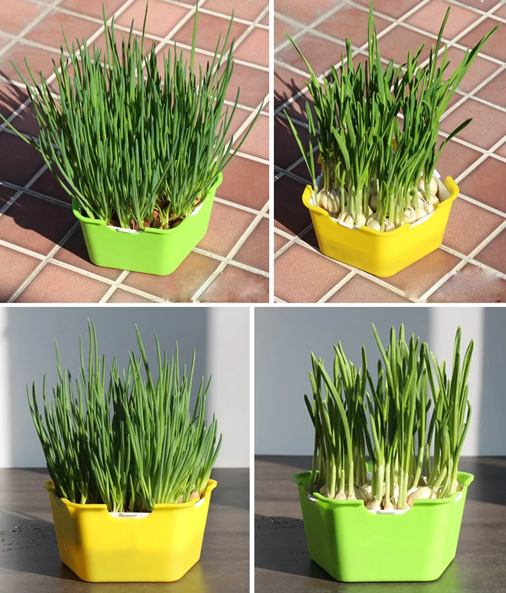 Seed Planter Tray Plastic Microgreen Seeding Trays for Hydroponic Nursery Germination Seeds Tray