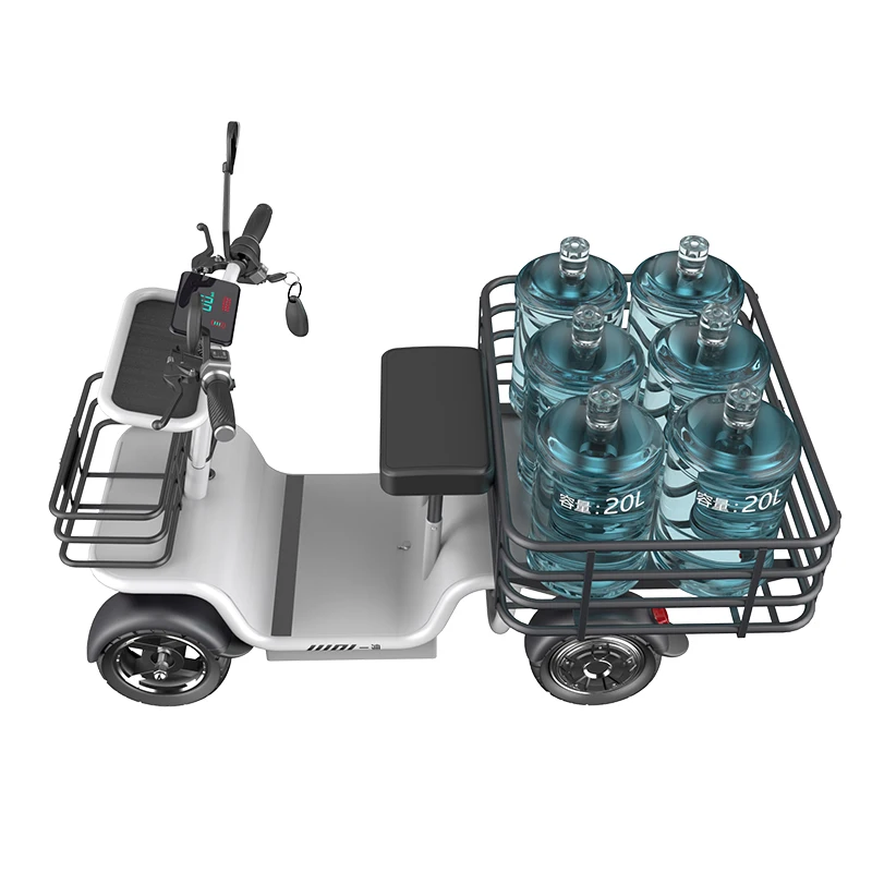 2022 New Model Lithium Battery  Dual Motor 4 Wheels Cheap Family Electric Cargo Bike