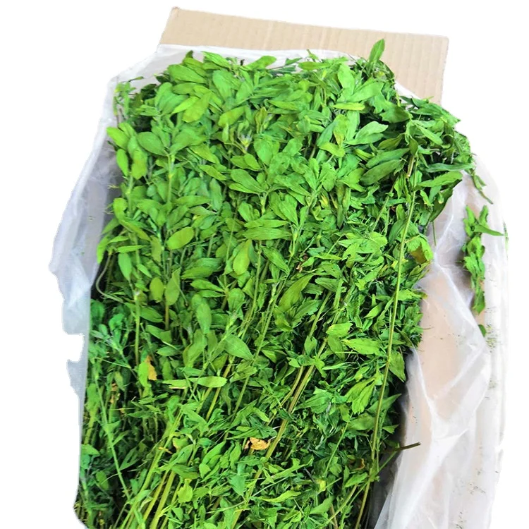 HQP-PJ008 Alfalfa hay for rabbit