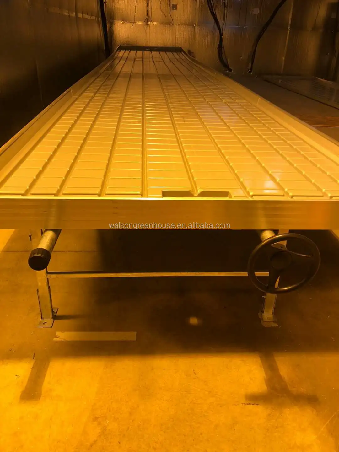 Professional Indoor Hydroponic System Ebb And Flow Grow table