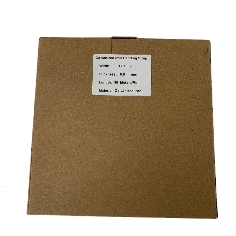 Galvanized iron/Stainless Steel Perforated Band Flat Edge With Cardboard Packing