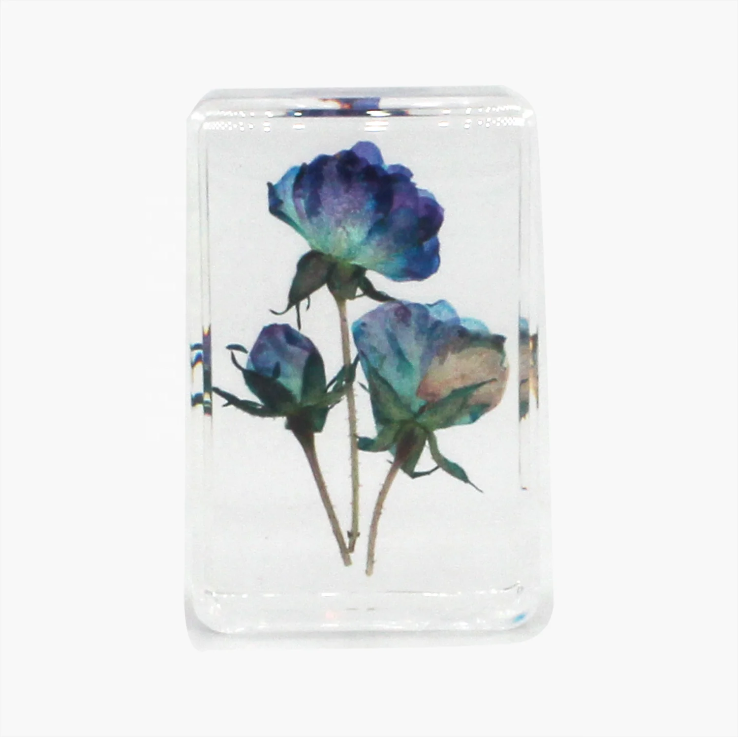 Nature botanical specimen epoxy resin flower paperweight lucite unique decor crystal craft