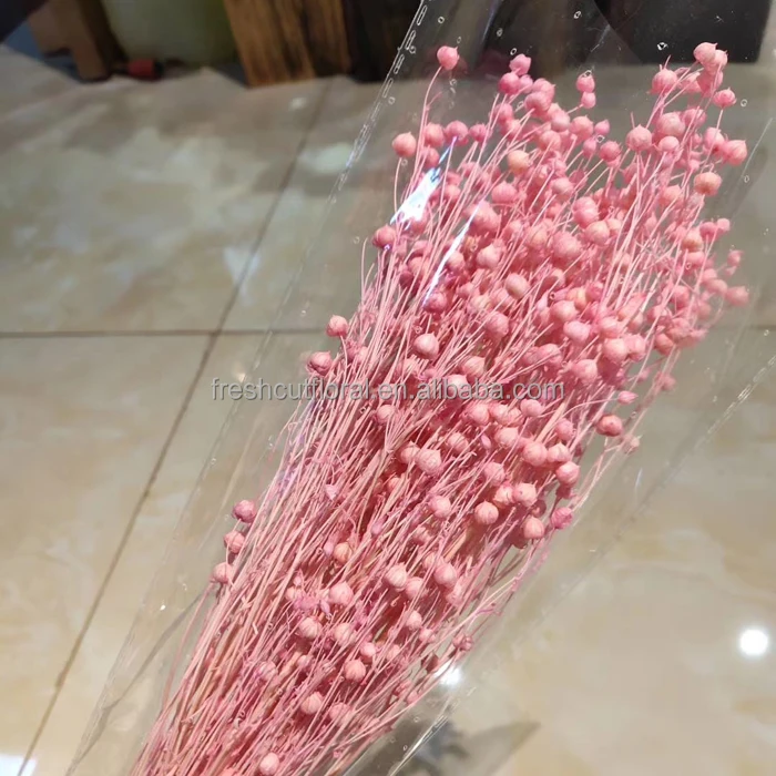 Amazona Yunnan Wholesale Dried Flowers Real Preserved Long Stem Gold Sliver Jequirity Bean Riches Beans As Decoration Flower