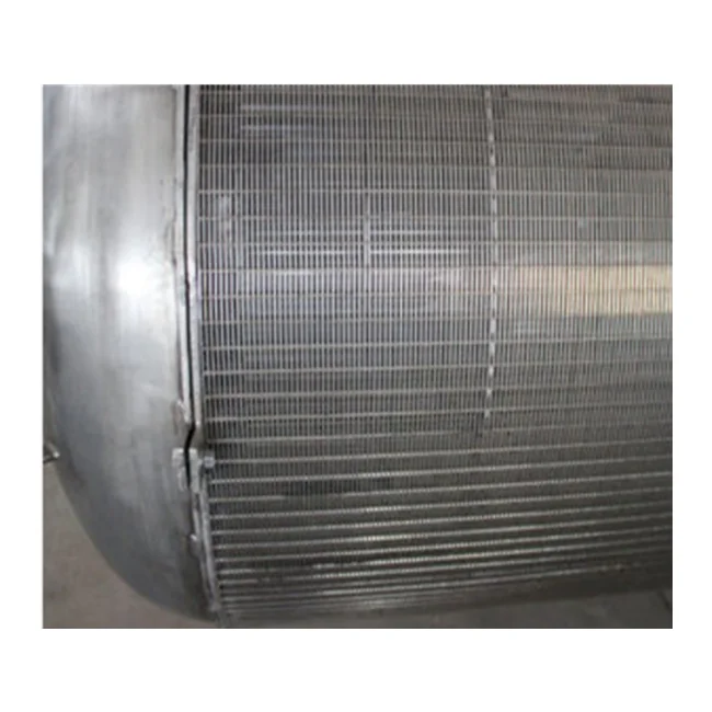 Large Size seawater desalination filter wedge wire water filter Passive Intake Screens