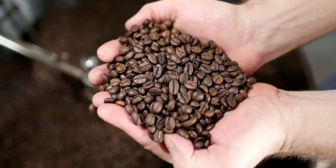 High Quality Arabica Costa Rica Tara Bead Specialty Roasted Coffee Beans