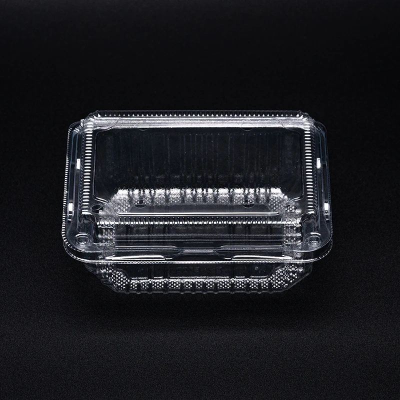 Factory Directly for Food Disposable Packaging Add Luster Disposable Transparent Customized Plastic Tray