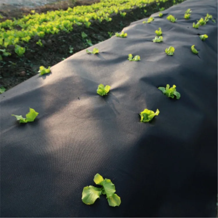 
Wholesales Cheap Garden Roll/Piece 100gsm Weed Mat Membrane Ground Cover Polypropylene Landscape Fabric 