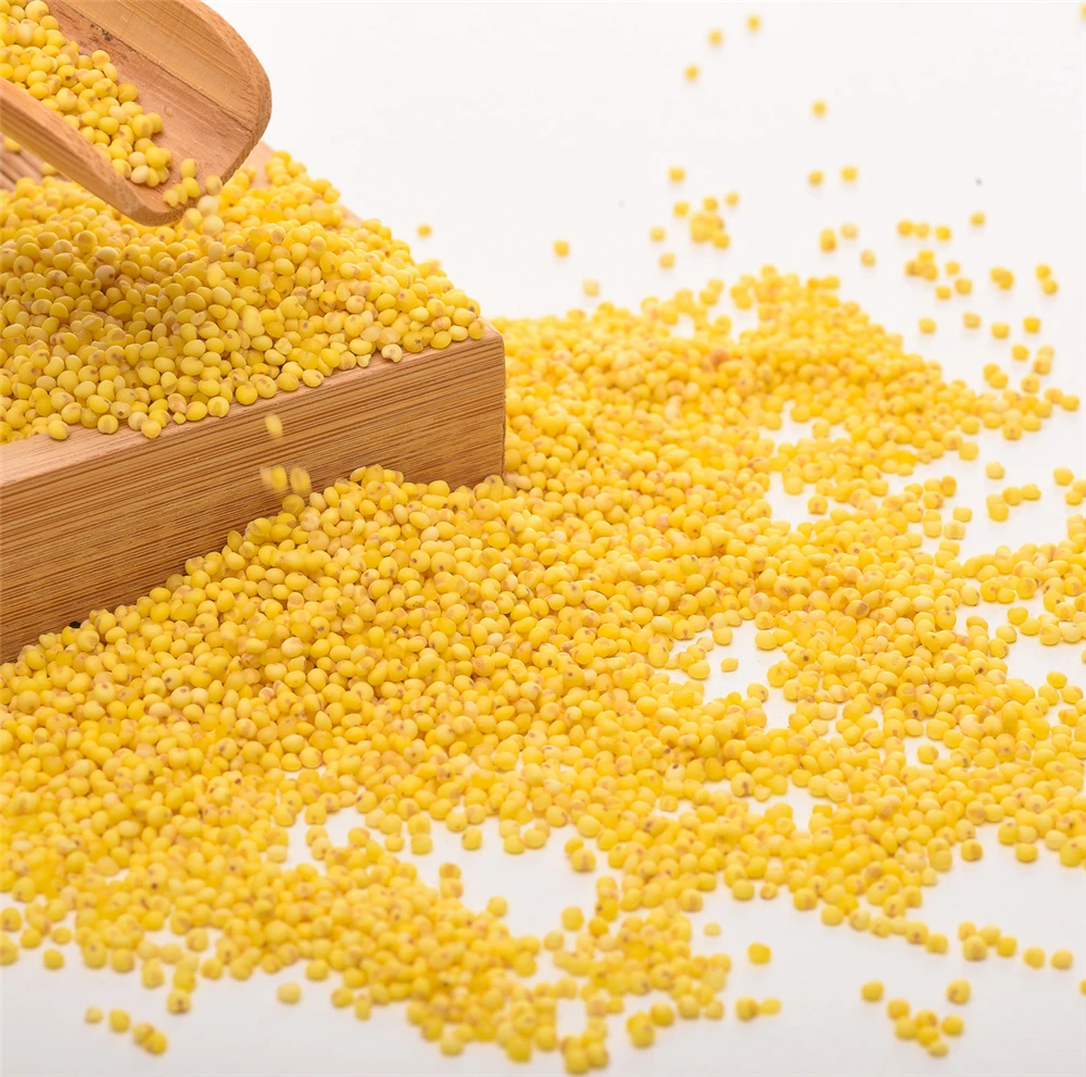  Сельскохозяйственная продукция экспорт Горячая продажа вакуумная упаковка 1 кг/мешок Желтый Просо для