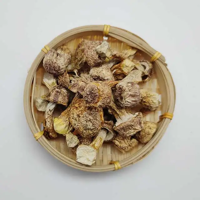 Оптовая продажа, сушеные агарикусы блейзеи оптом, продажа сушеных агарикусов блейзеев