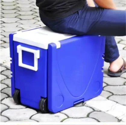 Wholesale multifunctional and convenient outdoor camping folding tables and chairs car refrigerator