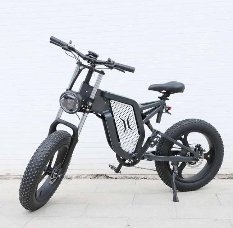 high speed Velo Electrique Bicicleta electrica  Pedal fat tire off road Electric mountain dirt bike for adult