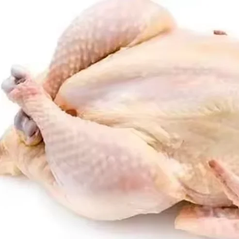 Lower price chinese  Frozen Whole Chicken  Quality  Frozen Whole Chicken and Parts Frozen Whole Chick