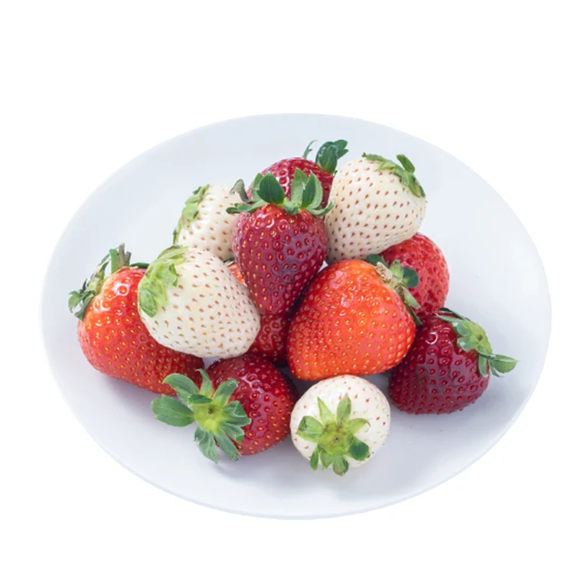 High quality Japan nice cost performance flavor plants strawberry