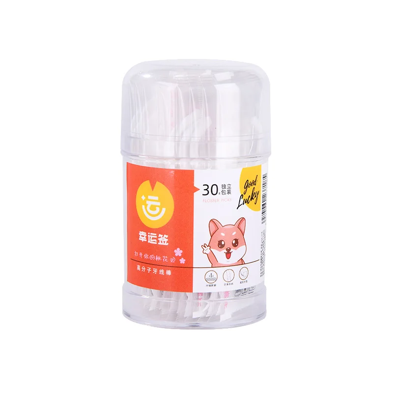 Private Label Eco Friendly Dental Flosser Toothpick Pick Plastic with 30pcs portable individual packaging OEM Customized