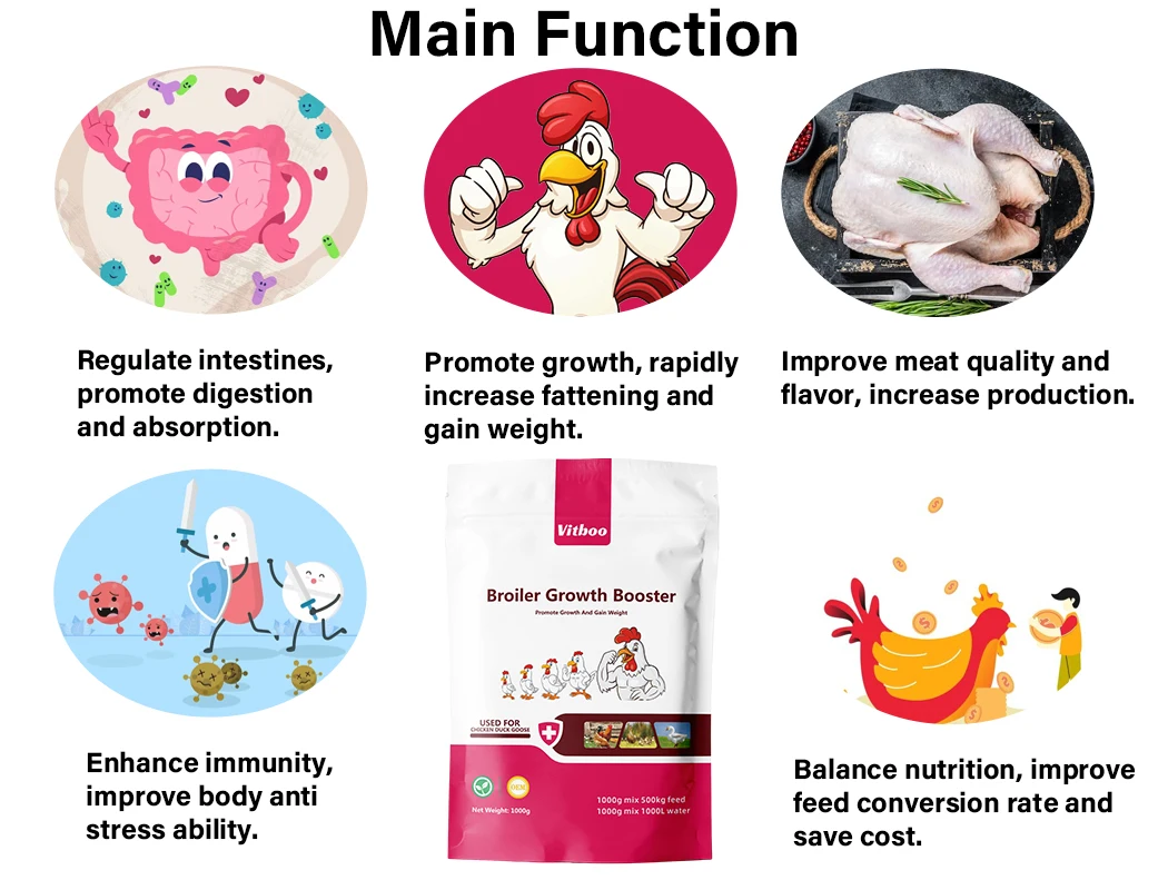 5% China supplier Poultry Feed Additive Premix feed Duck Feeding vitamins lysine growth booster