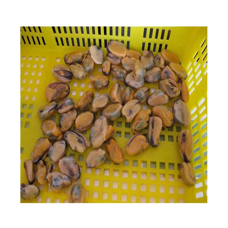 Seafood Fish Frozen Mussel Meat Detail Raw Freshwater Of Mussel Meat Without Shell Iqf