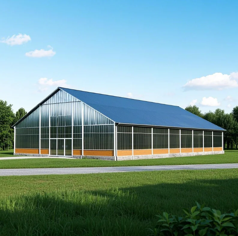 Customizable Modern Type Steel Structure Buildings Large Scale Farming and Villa Designs Specializing in Large Scale Projects