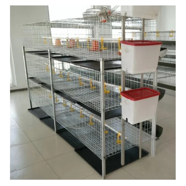 H type 3 tires Animal cages Broiler chicken cage Chicken farming