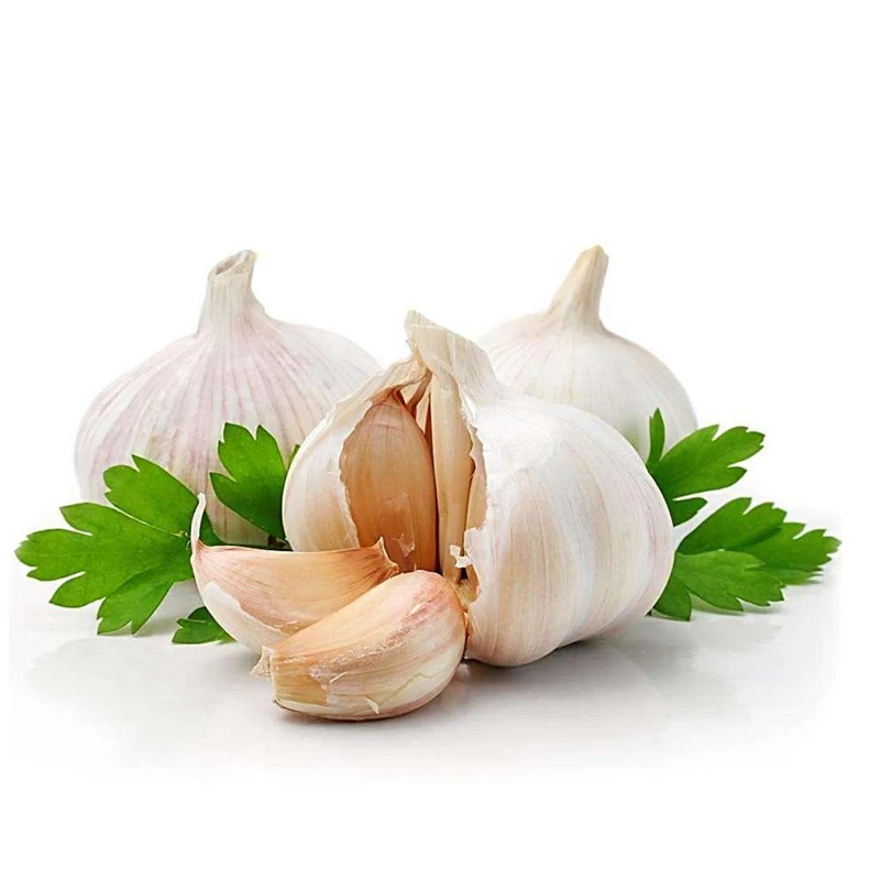
Jin Xiang Plant Top Grade 6.0 cm Chinese Garlic Cheap Price China Pure White garlic 