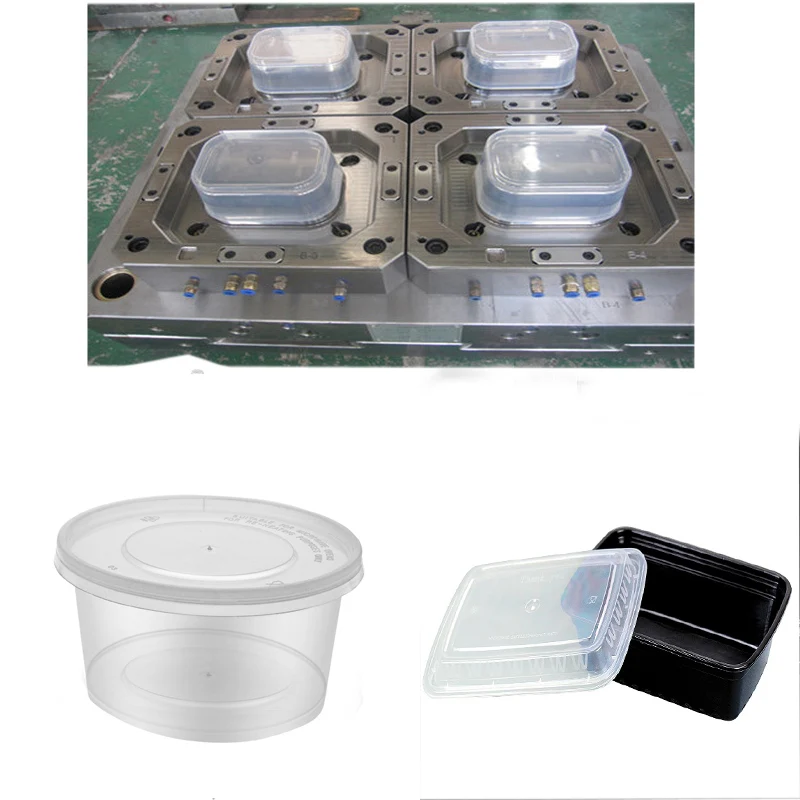 Household Kitchen Plastic Fruits And Thin Wall Food Lunch Box Container Mould