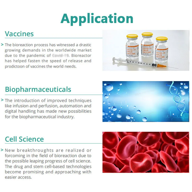 Ruiyuan Benchtop Small Glass Lab 5l 10l Microbiology Photo Plant Cell Bacterial Fermentor Fermenter Bioreactor