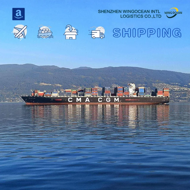 Cheapest logistics agent shipping FBA Door to Door logistics service LCL shipping agent from china to India