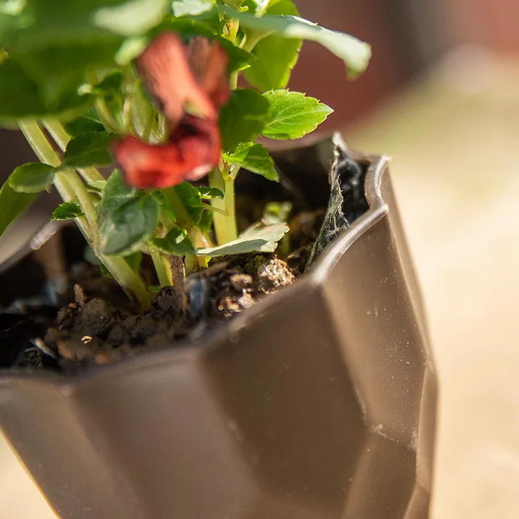 
Wholesale plastic orchid pots nursery luxury flower pot with high quality 