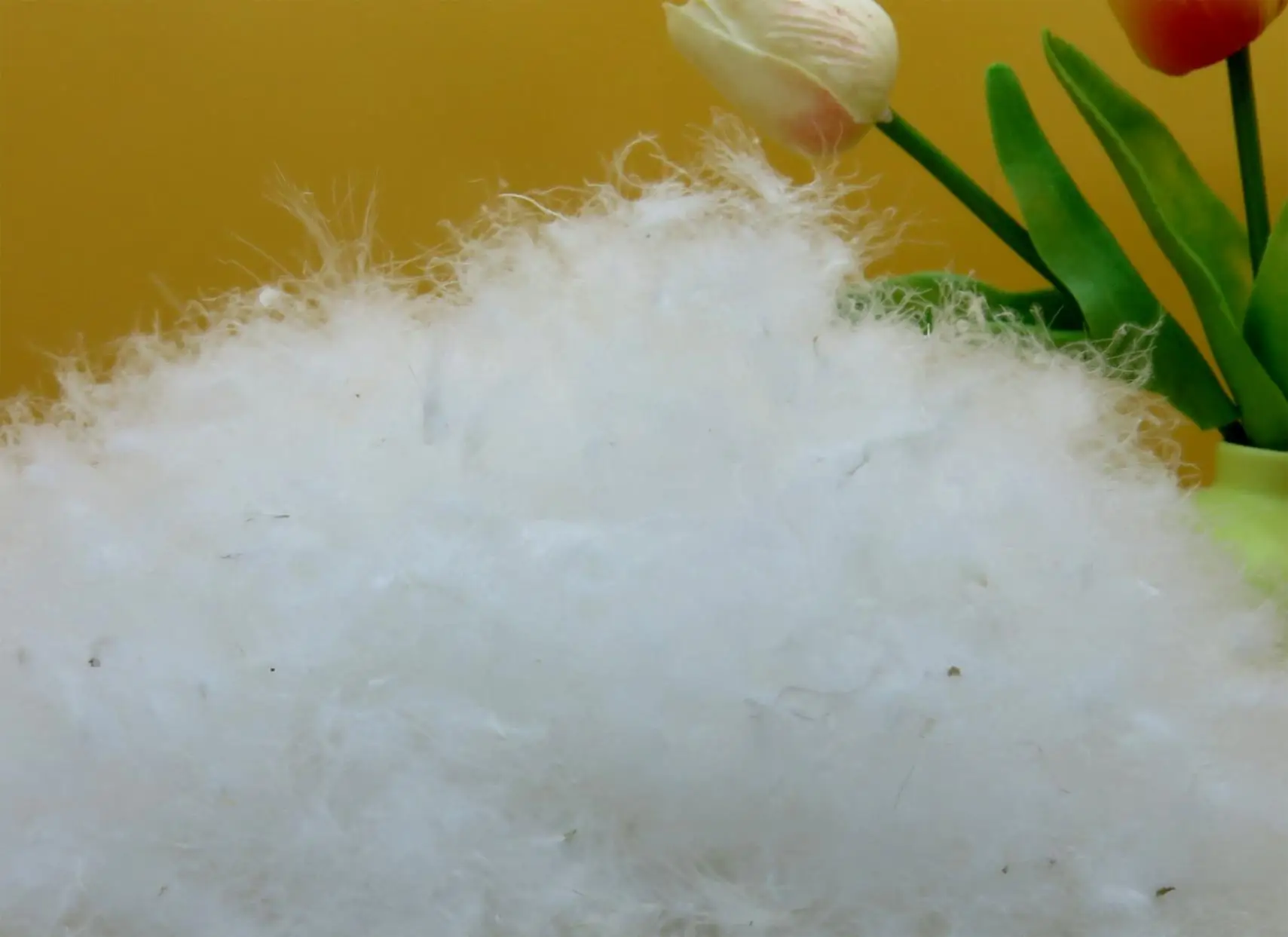 80% white goose down  feather