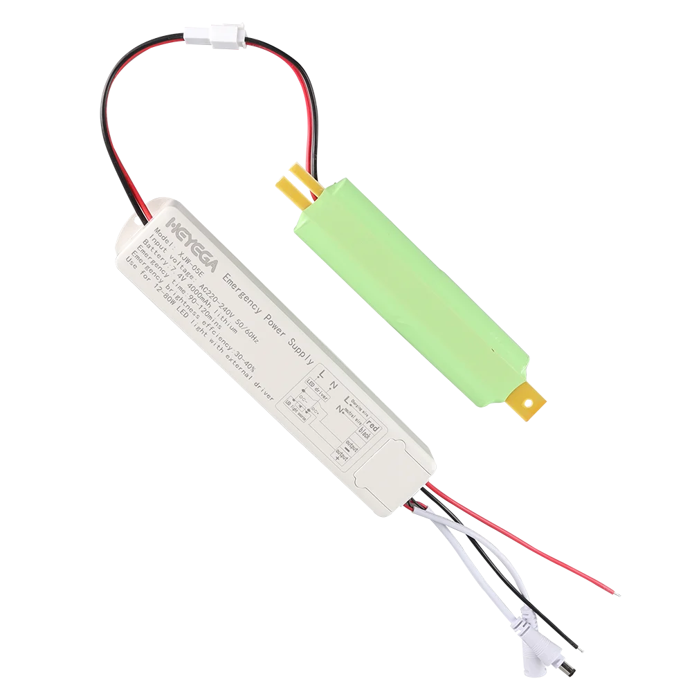110V/220 12-80W Led Light Constant Current Emergency Power Pack Driver Supply