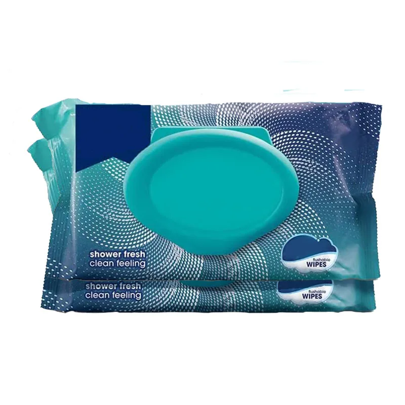 Wholesale New Daily Disposable Cleaning Flip Cover Wipes Clean Room Wipes With Logo