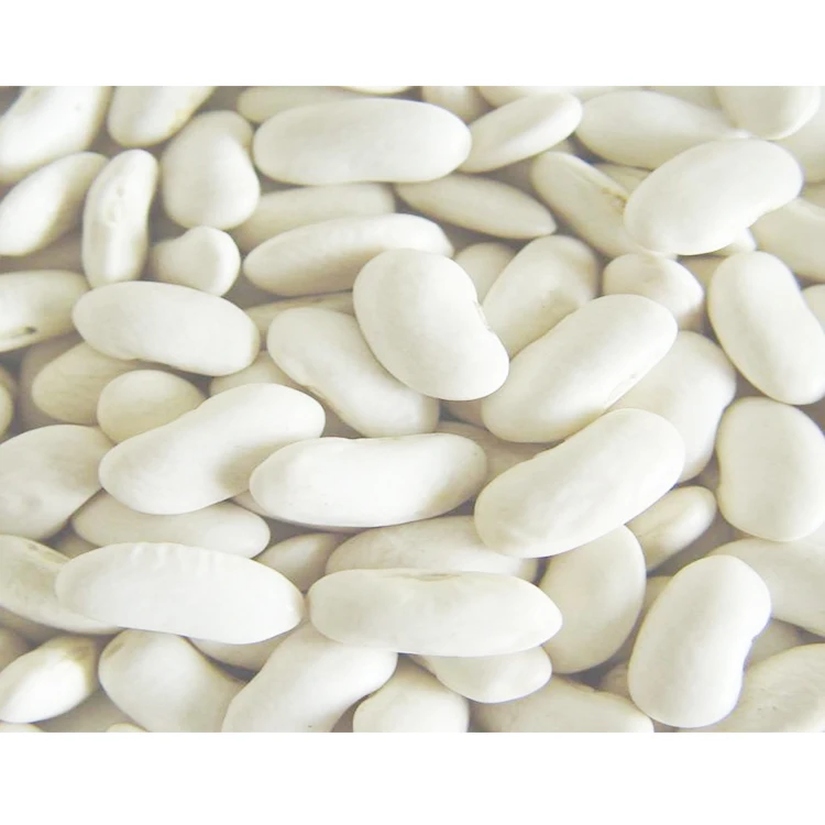 100% Organic Natural Agriculture Product Large White Kidney Beans Raw Style Dry White Kideny Beans New Crop