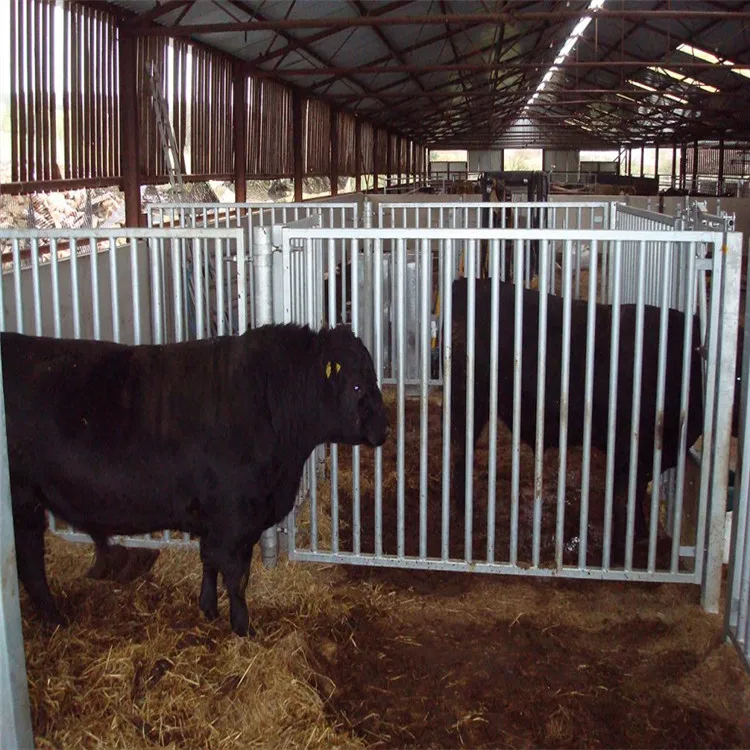 Hot Sell Hot Dipped Galvanized Round Tube Animal Feedlot Equipment for Cattle Corral Panels