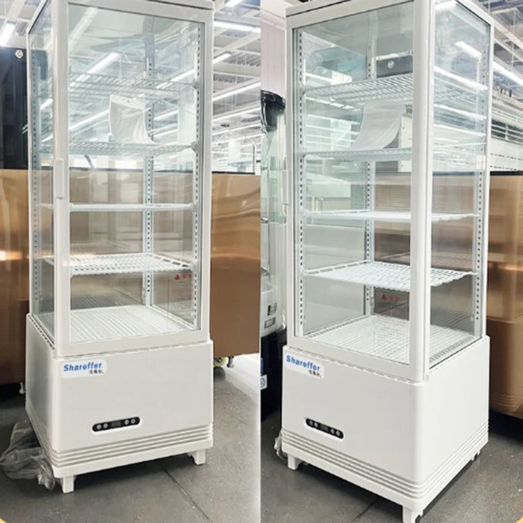 Vertical Upright Beverage Showcase Display Freezer Refrigerator