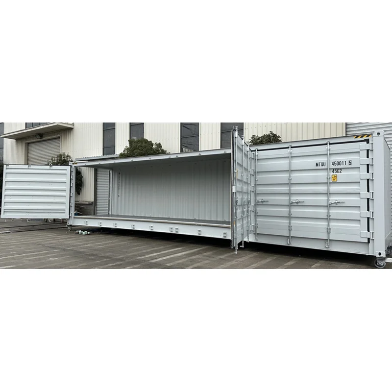 Custom Designed 45ft Steel ISO Container for Sea Cargo Shipping or House Use