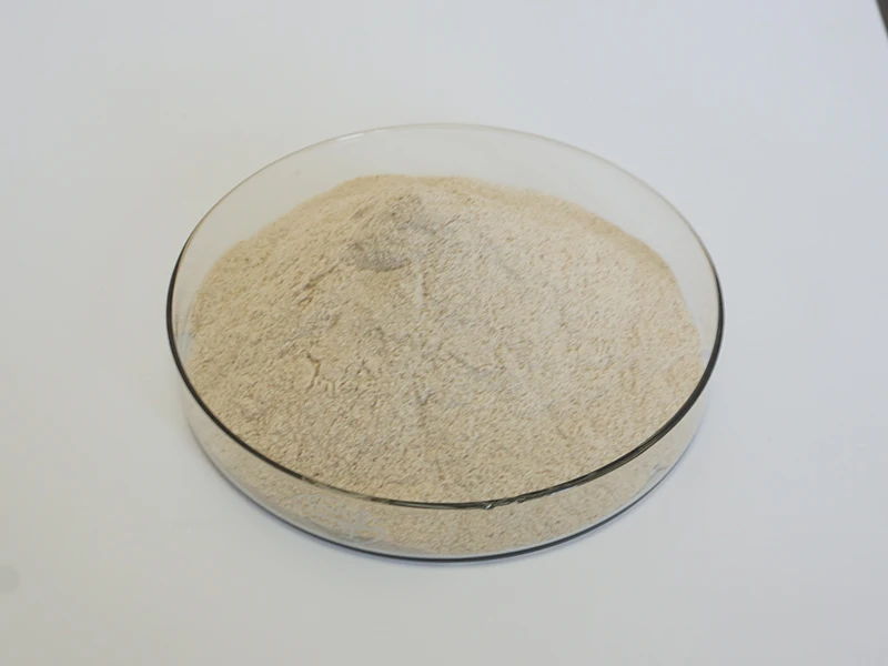 AUVO Neutral Protease Serrapeptase Enzyme Serrapeptase Powder