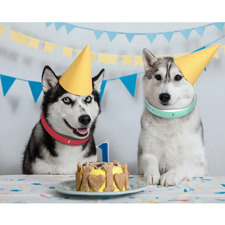 Трассировщик Google Map для домашних животных, GPS, монитор активности, светодиодный фонарик, ошейник для собак с небольшим устройством отслеживания GPS, 2G