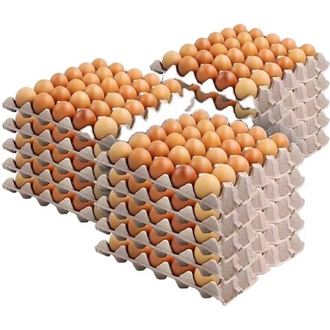 Fresh Chicken Table Eggs/ Wholesale Fresh Brown Table Eggs Chicken Eggs available
