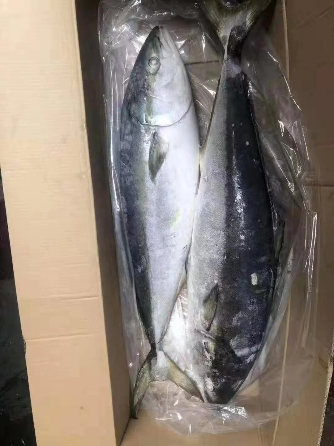 Высокое качество, оптовая продажа, замороженная Желтая рыба 7 кг, из Китая